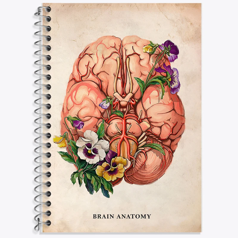 دفتر نت موسیقی 50 برگ خندالو طرح آناتومی مغز (Brain Anatomy) کد F13976