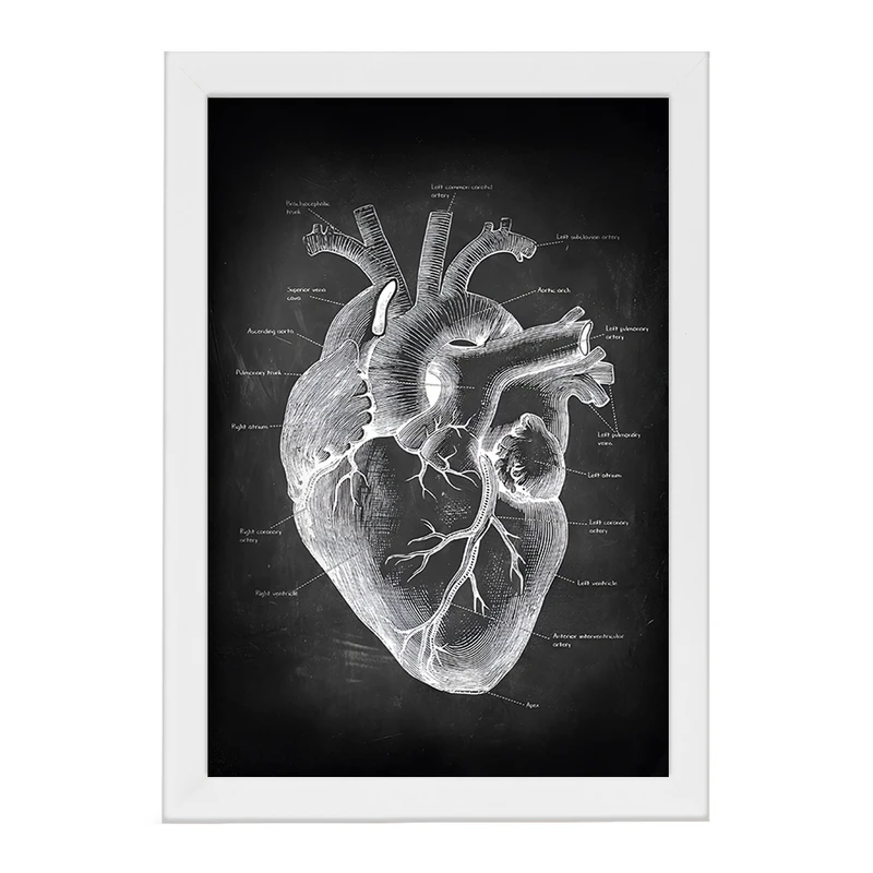 تابلو خندالو طرح آناتومی قلب (Heart Anatomy) کد F13957