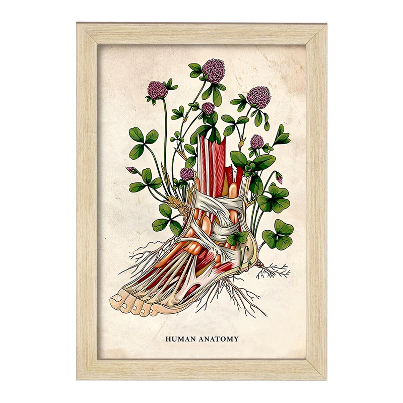 تابلو خندالو طرح آناتومی پا (Foot Anatomy) کد F13968