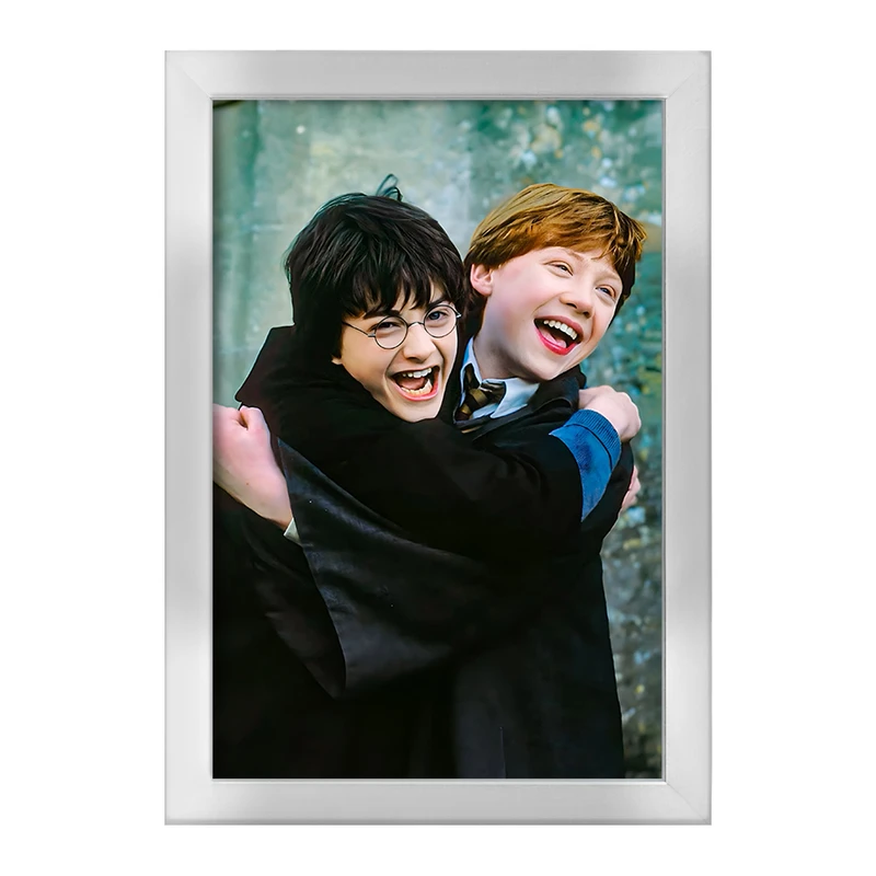 تابلو خندالو طرح هری پاتر (Harry Potter) کد F6003