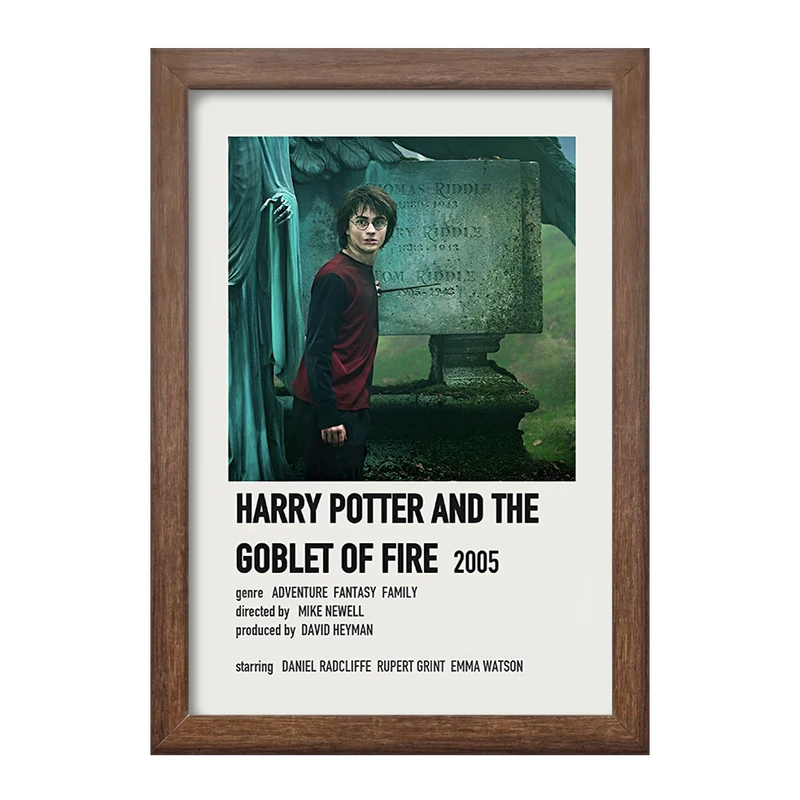 تابلو خندالو طرح هری پاتر (Harry Potter) کد F13405