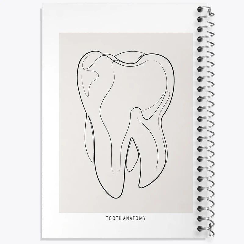 دفتر مشق 100 برگ خندالو طرح آناتومی دندان (Tooth Anatomy) کد F13936