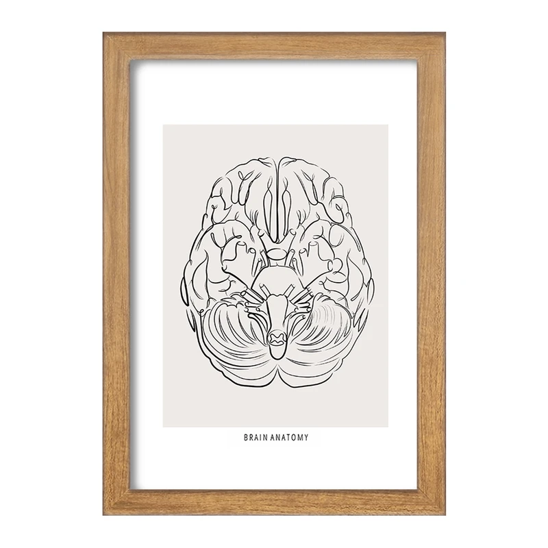 تابلو خندالو طرح آناتومی مغز (Brain Anatomy) کد F13890