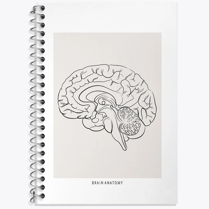 دفتر لغت 50 برگ خندالو طرح آناتومی مغز (Brain Anatomy) کد F13891