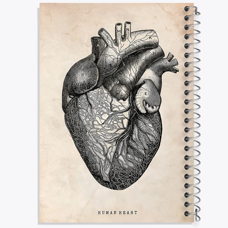 دفتر ژورنال نویسی 50 برگ خندالو مدل نقطه ای طرح آناتومی قلب (Heart Anatomy) کد F13941