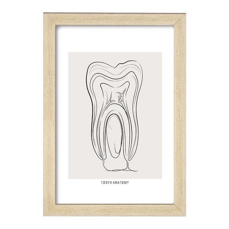 تابلو خندالو طرح آناتومی دندان (Tooth Anatomy) کد F13937