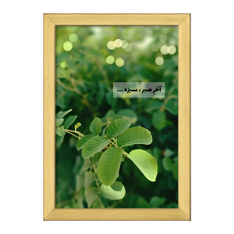 تابلو خندالو طرح آخر صبر، سبزه کد F6700