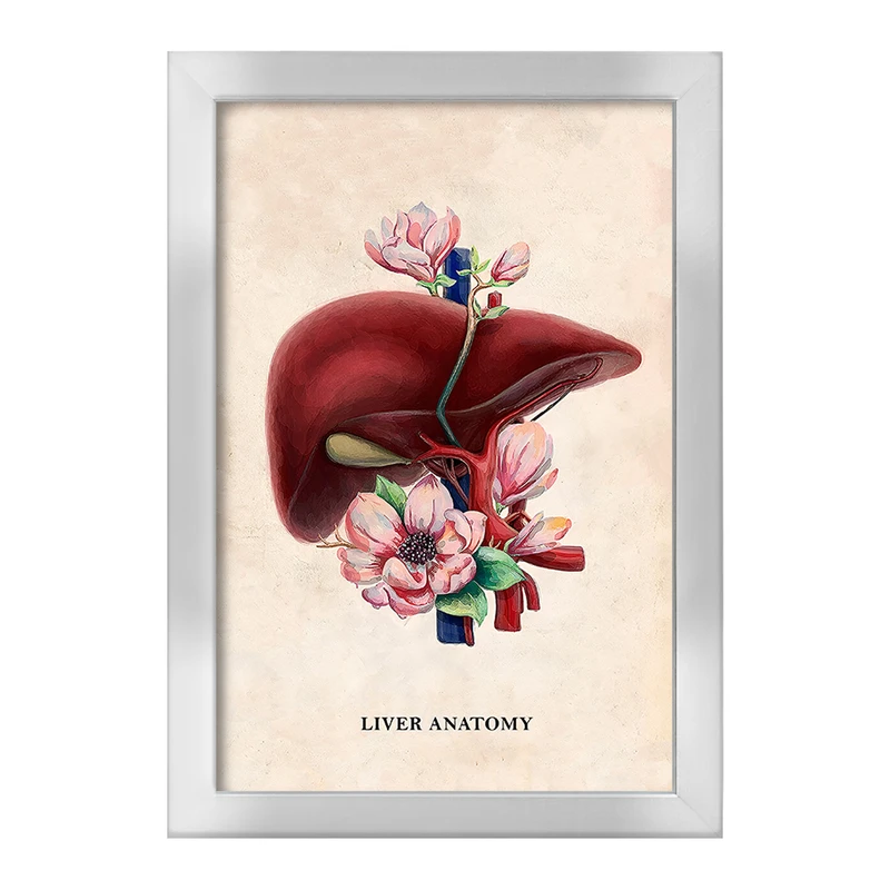 تابلو خندالو طرح آناتومی کبد (Liver anatomy) کد F14027