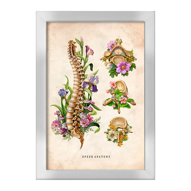 تابلو خندالو طرح آناتومی ستون فقرات (Spine Anatomy) کد F13967