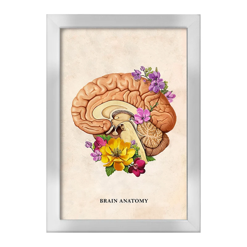 تابلو خندالو طرح آناتومی مغز (Brain Anatomy) کد F14028