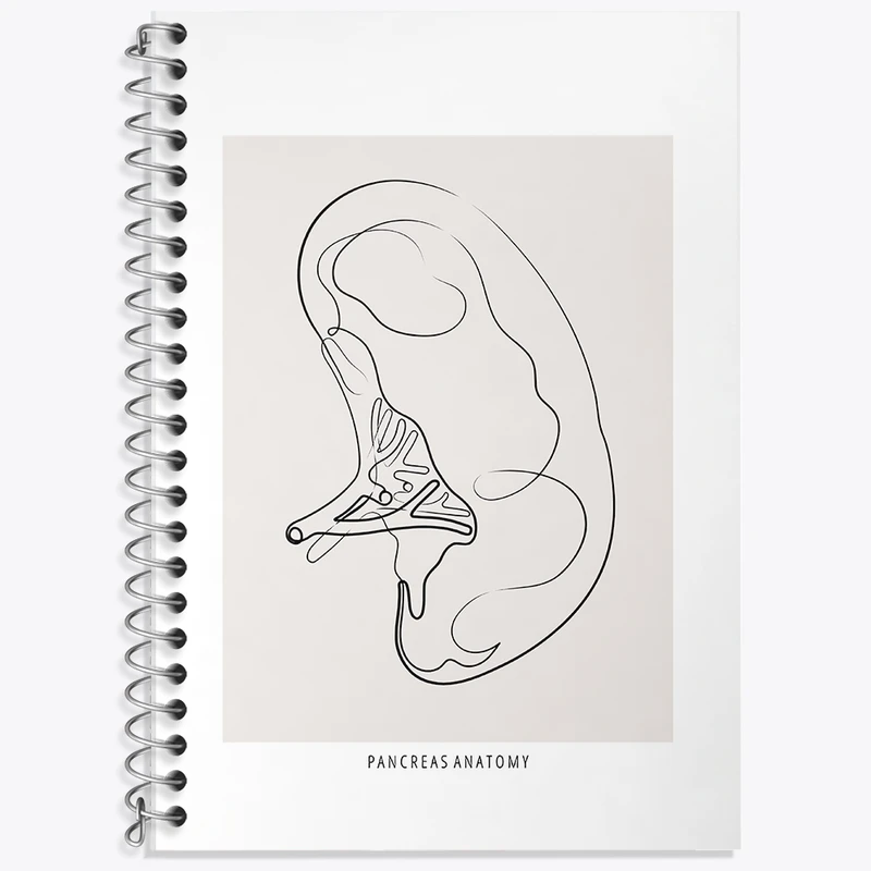 دفتر زبان 50 برگ خندالو مدل سه خط طرح آناتومی پانکراس (Pancreas Anatomy) کد F13902