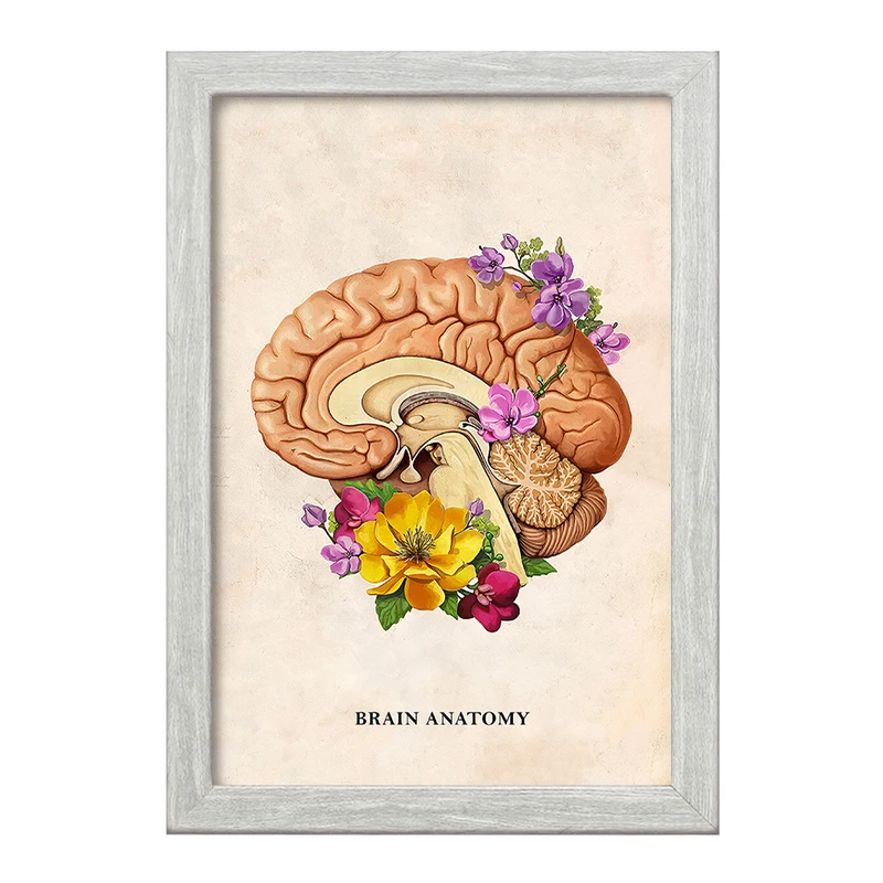 تابلو خندالو طرح آناتومی مغز (Brain Anatomy) کد F14028