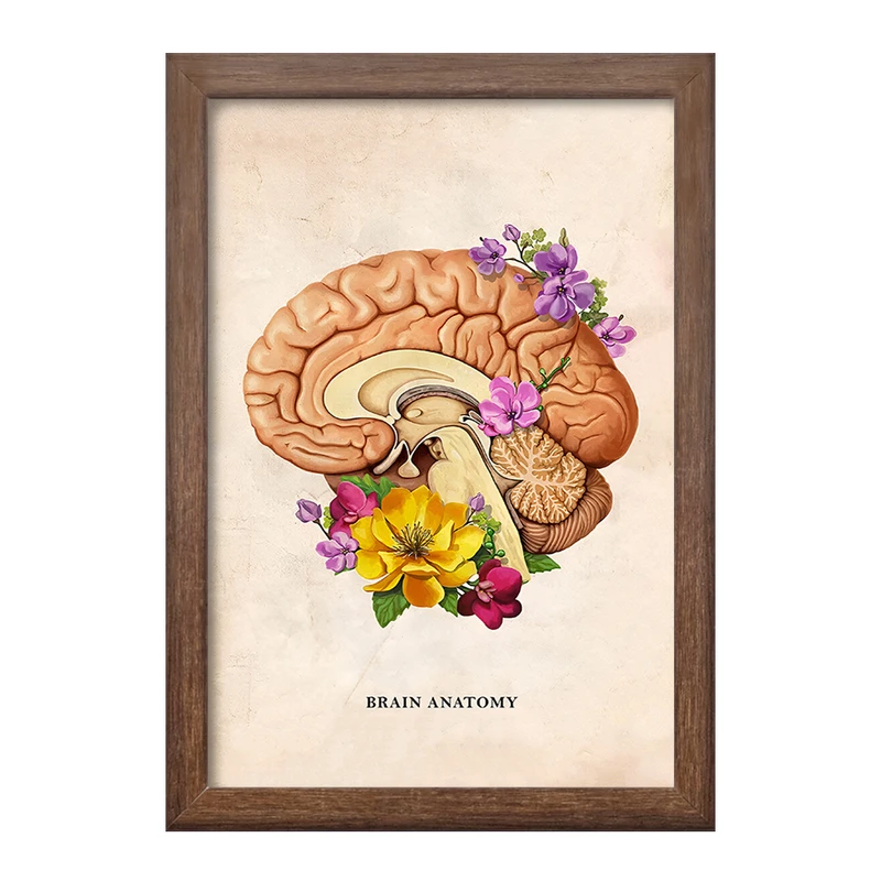 تابلو خندالو طرح آناتومی مغز (Brain Anatomy) کد F13970