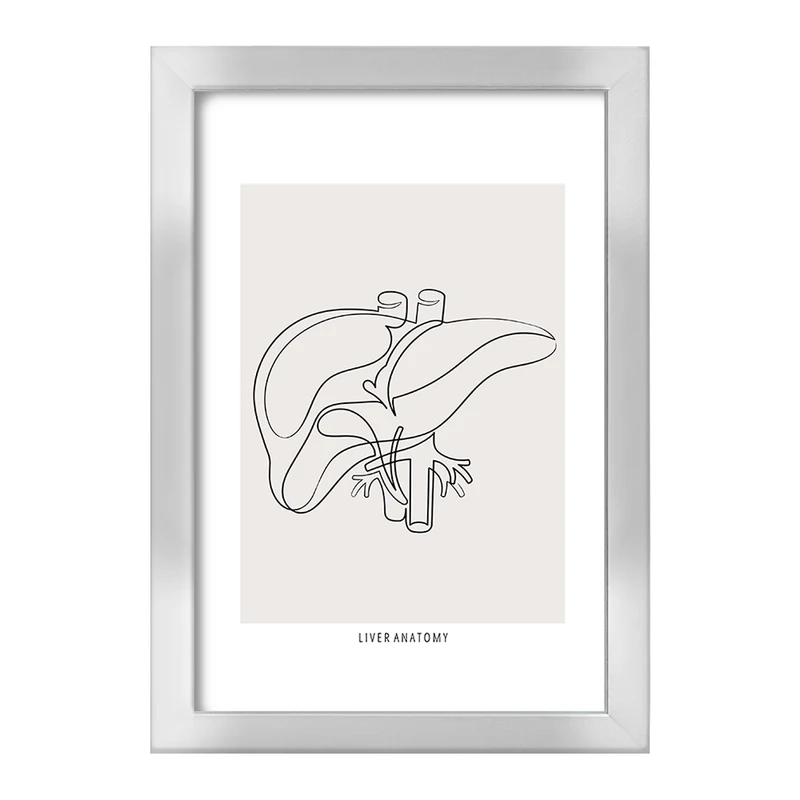 تابلو خندالو طرح آناتومی کبد (Liver anatomy) کد F13900