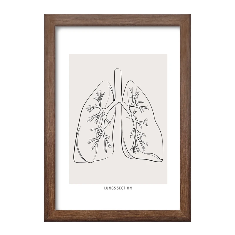 تابلو خندالو طرح آناتومی ریه ها (Lungs Anatomy) کد F13899