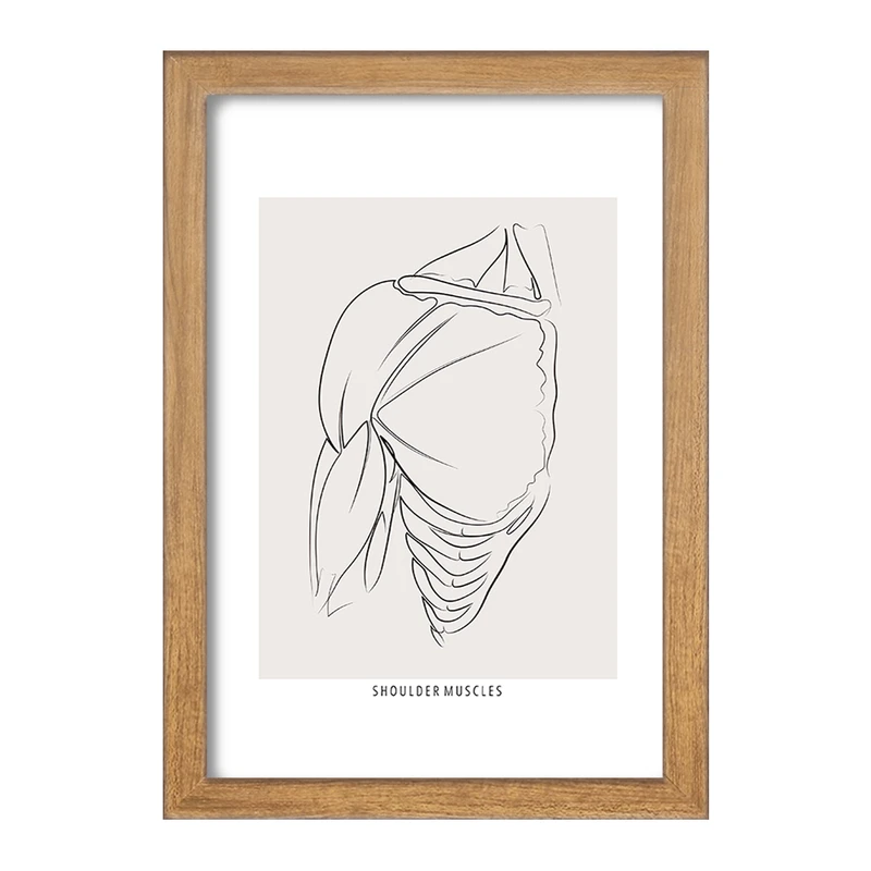 تابلو خندالو طرح عضلات شانه (Shoulder Muscles) کد F13927