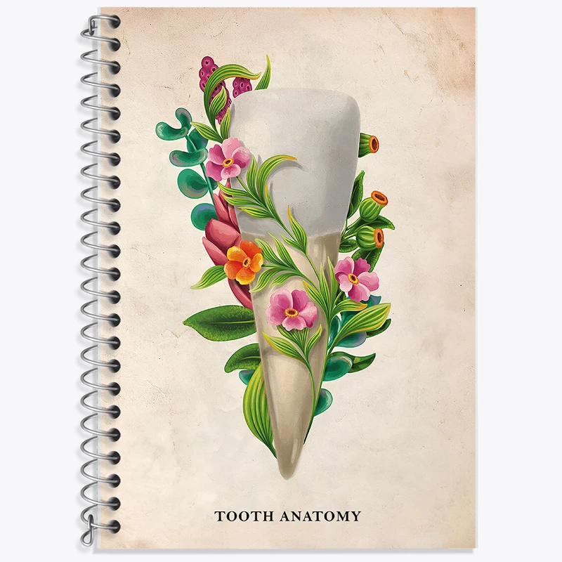 دفتر نت موسیقی 50 برگ خندالو طرح آناتومی دندان (Tooth Anatomy) کد F13982