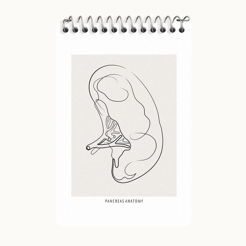 دفتر یادداشت 50 برگ خندالو طرح آناتومی پانکراس (Pancreas Anatomy) کد F13902