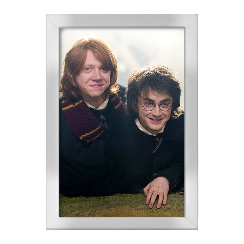 تابلو خندالو طرح هری و رون هری پاتر Harry Potter  کد 19350