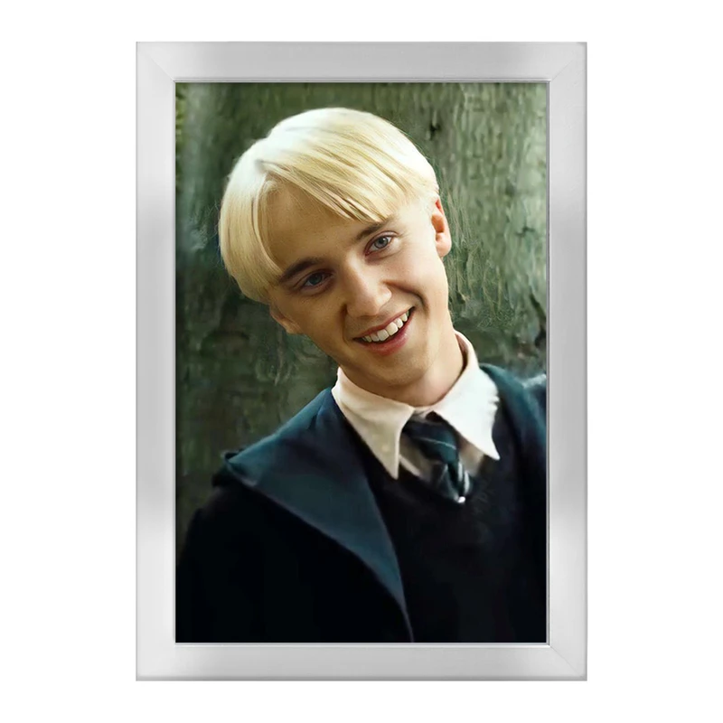 تابلو خندالو طرح دراکو مالفوی هری پاتر Harry Potter  کد 19361