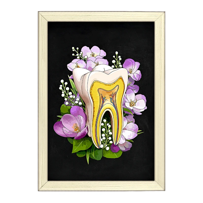 تابلو خندالو طرح آناتومی دندان (Tooth Anatomy) کد F14047