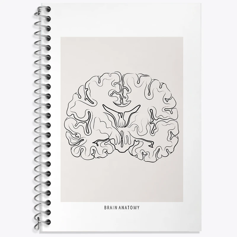 دفتر نت موسیقی 50 برگ خندالو طرح آناتومی مغز (Brain Anatomy) کد F13892