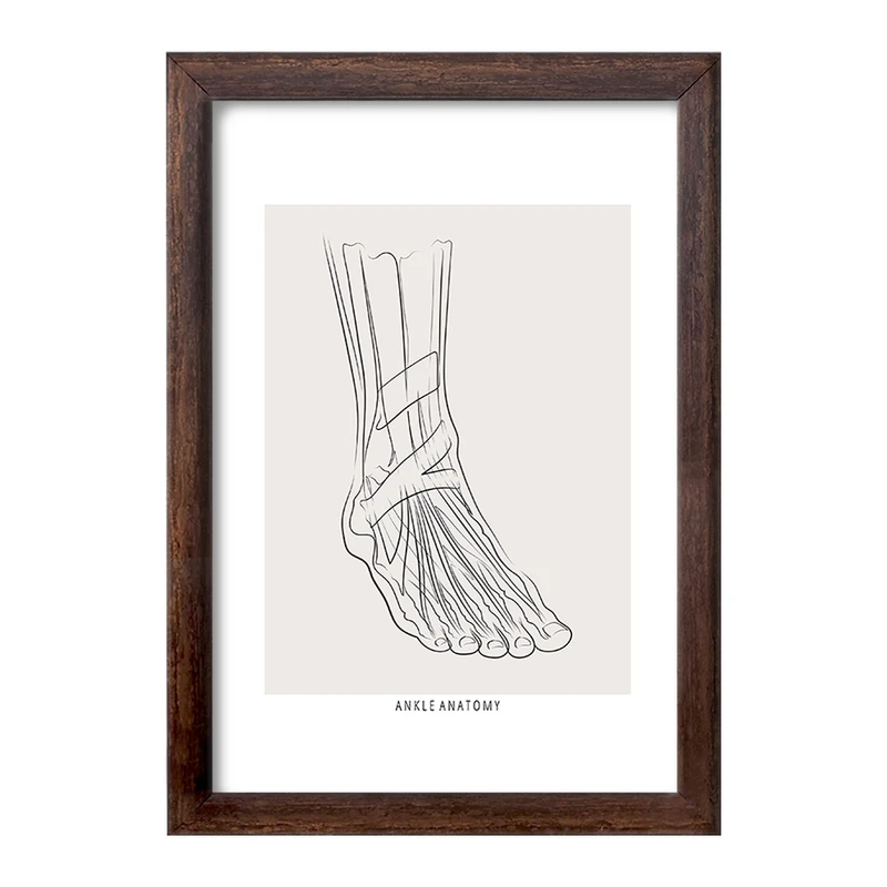 تابلو خندالو طرح آناتومی مچ پا (Ankle Anatomy) کد F13926