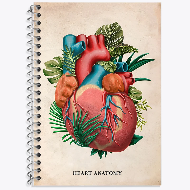 دفتر زبان 50 برگ خندالو مدل دو خط طرح آناتومی قلب (Heart Anatomy) کد F13986
