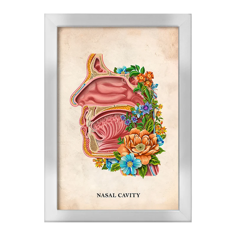 تابلو خندالو طرح حفره بینی (Nasal Cavity) کد F13992