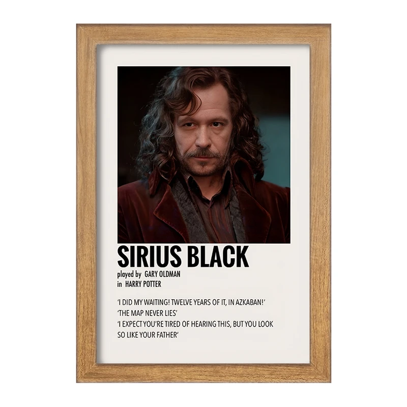 تابلو خندالو طرح سیریوس بلک (Sirius Black) کد F13398
