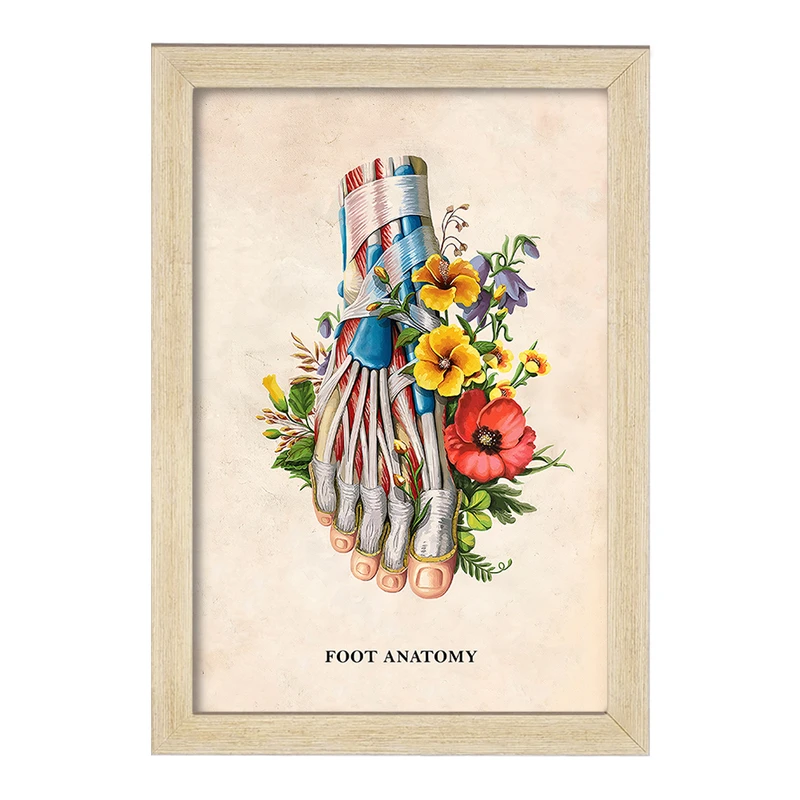 تابلو خندالو طرح آناتومی پا (Foot Anatomy) کد F14013