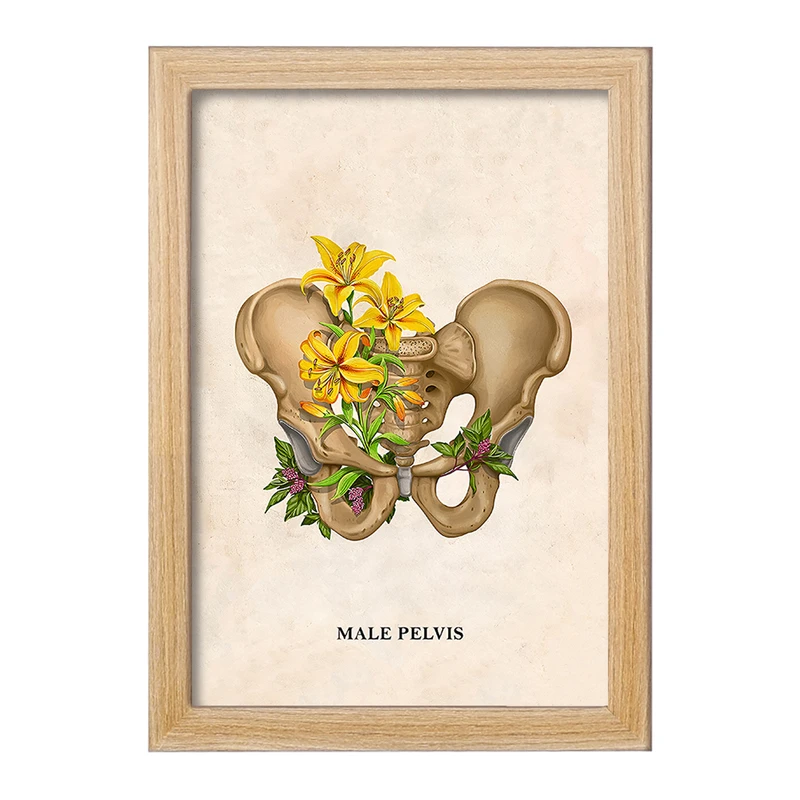تابلو خندالو طرح آناتومی لگن (Pelvis Anatomy) کد F13999
