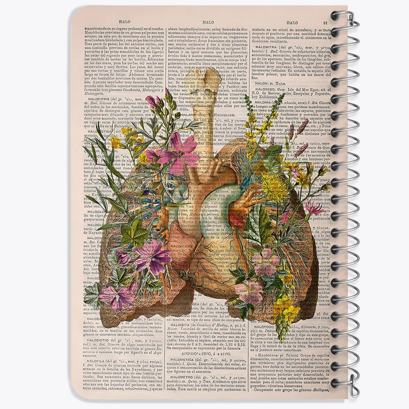 دفتر یادداشت 50 برگ خندالو طرح آناتومی ریه ها (Lungs Anatomy) کد F14040