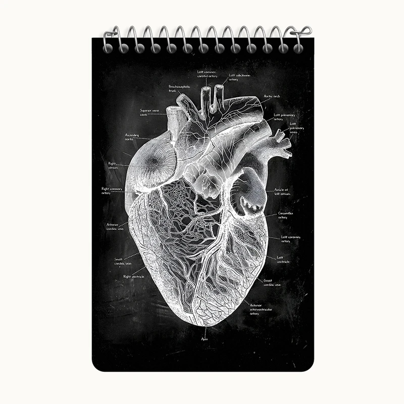 دفتر یادداشت 50 برگ خندالو طرح آناتومی قلب (Heart Anatomy) کد F13956