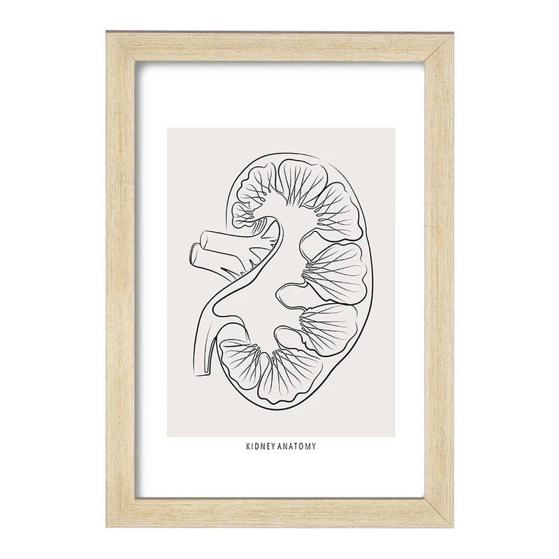 تابلو خندالو طرح آناتومی کلیه (kidney Anatomy) کد F13903