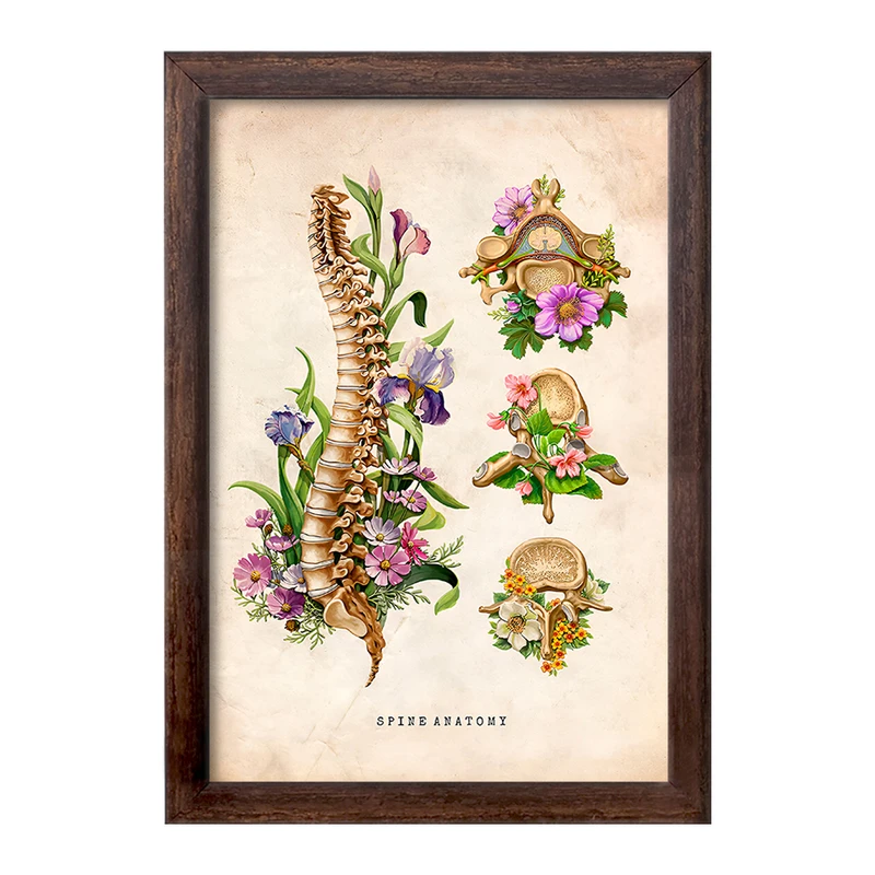 تابلو خندالو طرح آناتومی ستون فقرات (Spine Anatomy) کد F13967