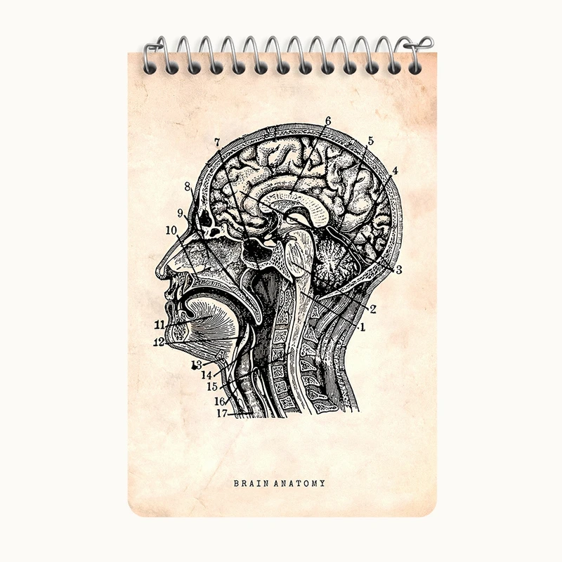 دفتر یادداشت 50 برگ خندالو طرح آناتومی مغز (Brain Anatomy) کد F13947