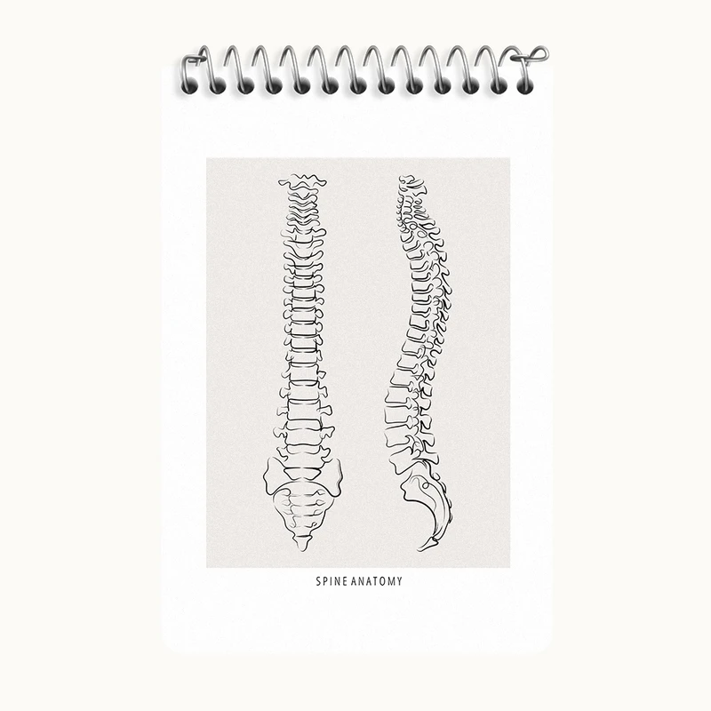 دفتر یادداشت 50 برگ خندالو طرح آناتومی ستون فقرات (Spine Anatomy) کد F13909