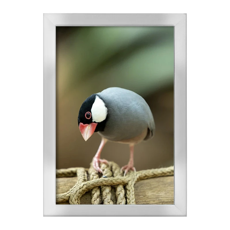 تابلو خندالو طرح پرنده کد F1261