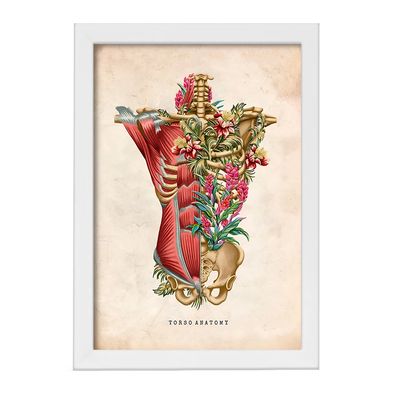 تابلو خندالو طرح آناتومی تروسو (Troso System) کد F13964