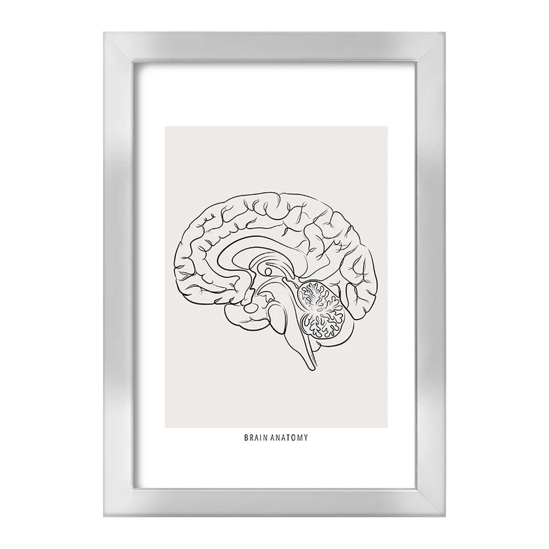 تابلو خندالو طرح آناتومی مغز (Brain Anatomy) کد F13891