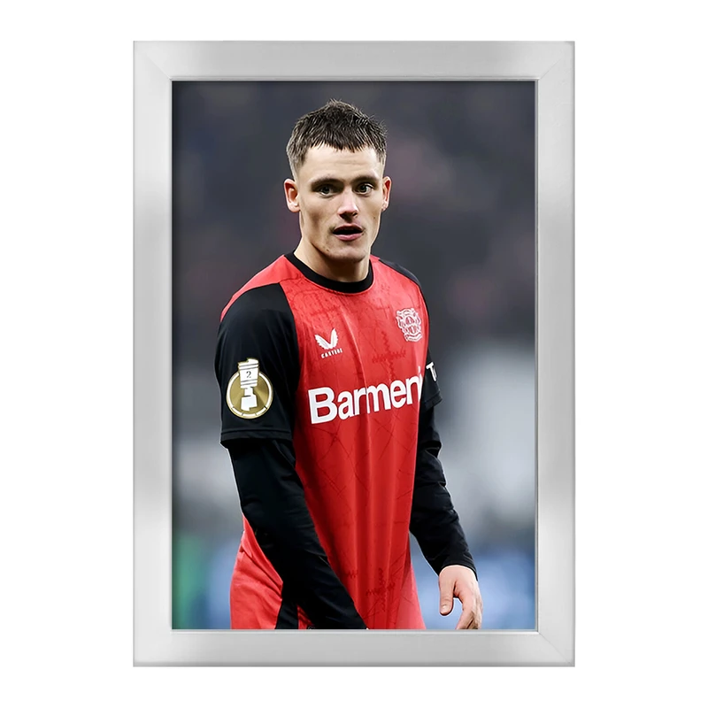 تابلو خندالو طرح فلوریان ویرتز (Florian Wirtz) کد F14329