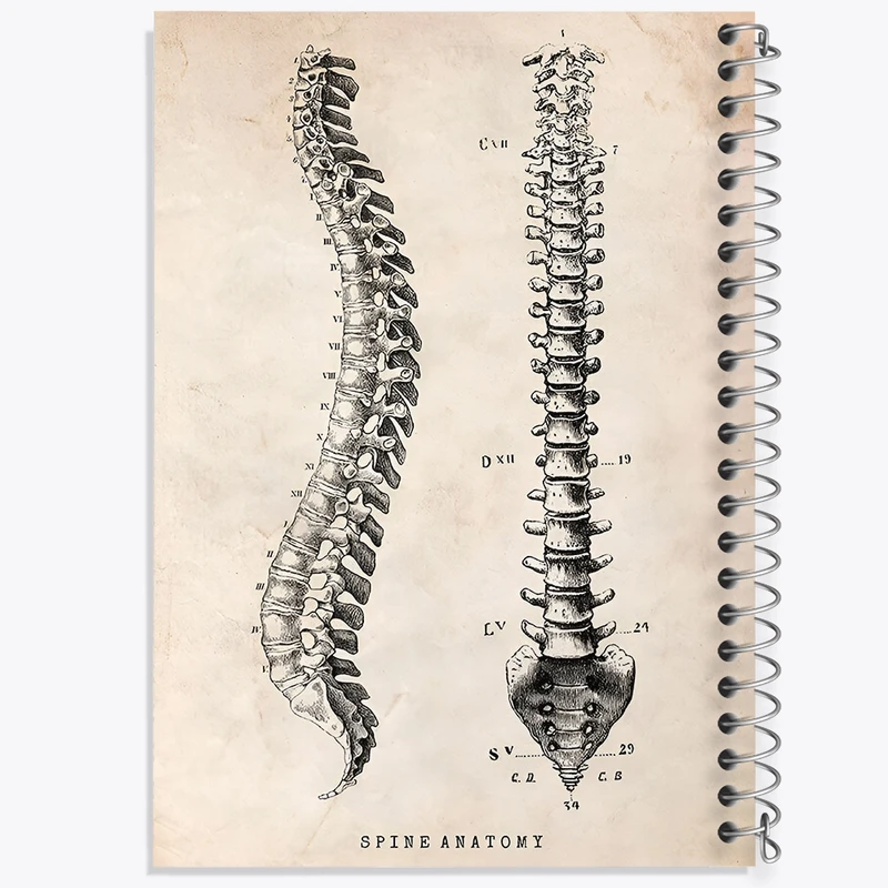 دفتر ژورنال نویسی 50 برگ خندالو مدل نقطه ای طرح آناتومی ستون فقرات (Spine Anatomy) کد F13955