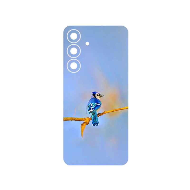 برچسب پوششی ماهوت مدل Cyanocitta cristata مناسب برای گوشی موبایل سامسونگ Galaxy S25 FE