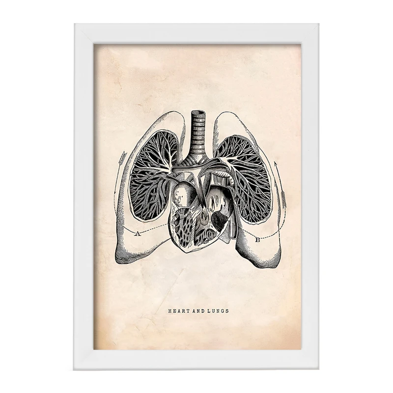 تابلو خندالو طرح آناتومی قلب (Heart Anatomy) کد F13952