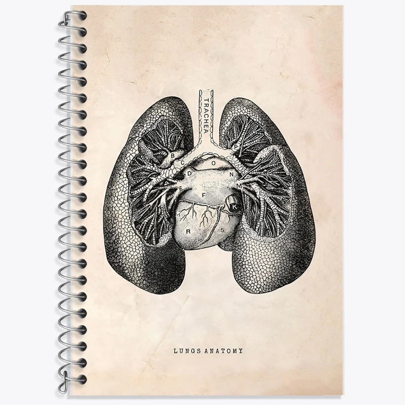 دفتر لغت 50 برگ خندالو طرح آناتومی ریه ها (Lungs Anatomy) کد F13949