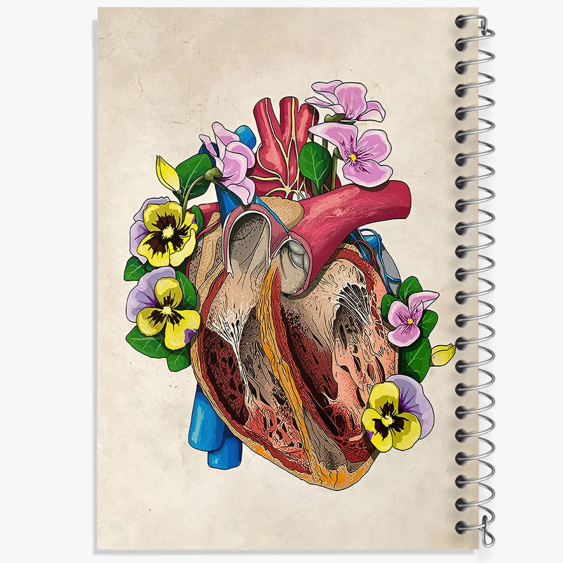 دفتر مشق 100 برگ خندالو طرح آناتومی قلب (Heart Anatomy) کد F14010
