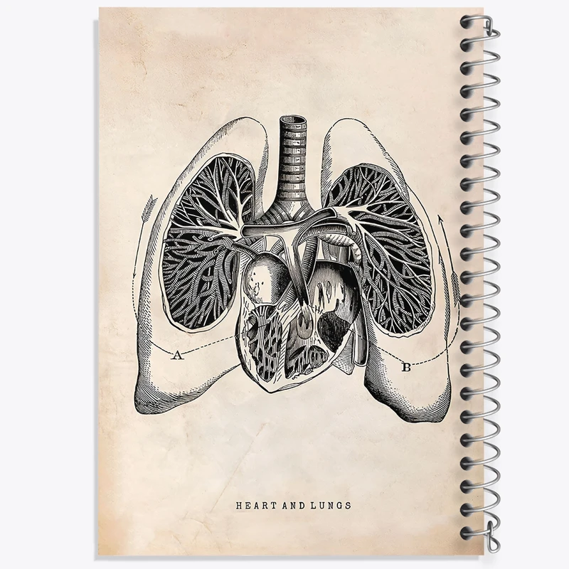 دفتر مشق 50 برگ خندالو طرح آناتومی قلب (Heart Anatomy) کد F13952