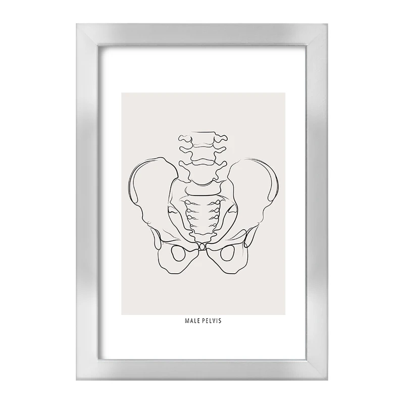 تابلو خندالو طرح آناتومی لگن (Pelvis Anatomy) کد F13912