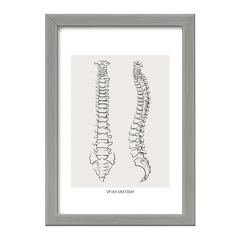 تابلو خندالو طرح آناتومی ستون فقرات (Spine Anatomy) کد F13909
